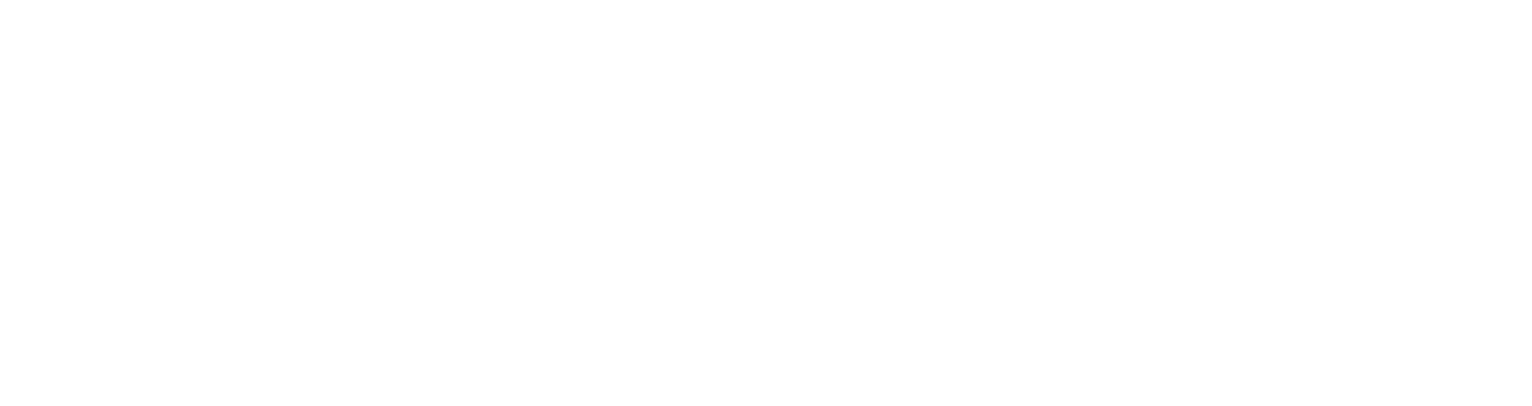 Seagull Electronics